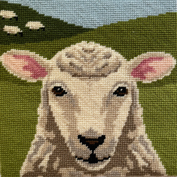 The Country Sheep 12 Mesh Needlepoint Kit