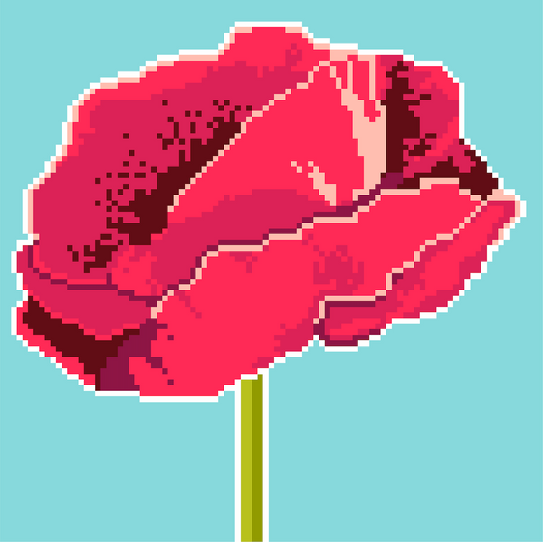 New Arrival: The Poppy 12 Mesh Needlepoint Kit