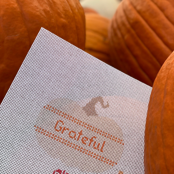 Grateful Mini Pumpkin 13 mesh